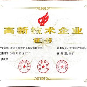 技术企业